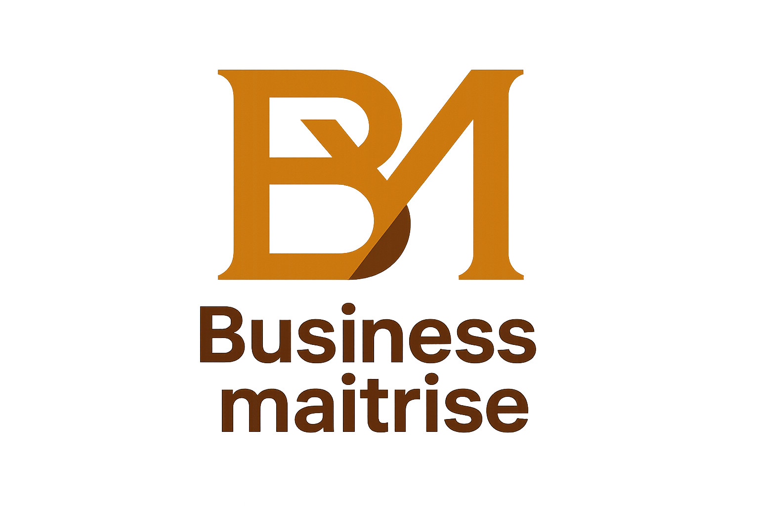 Business Maitrise